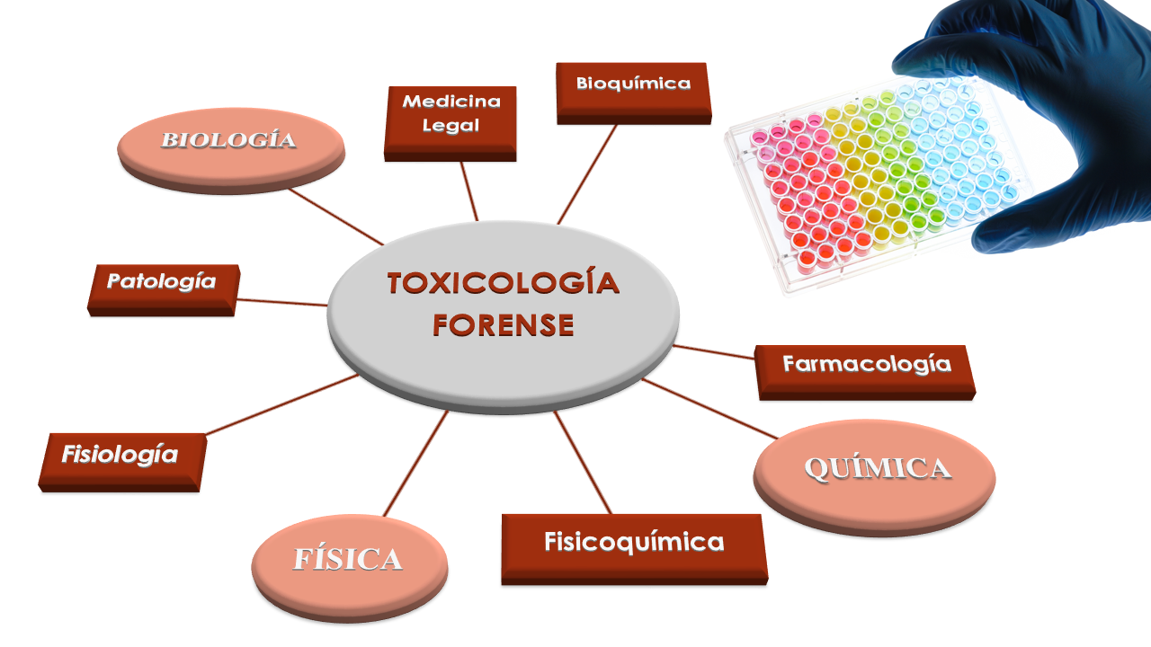 Toxicología Forense